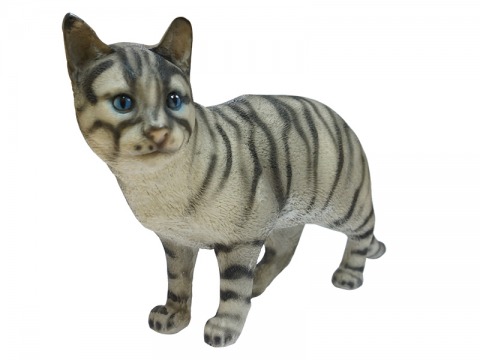 สั่งทำแมวเก็บอัฐิ